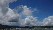 紫の花★グッズ整理中の画像