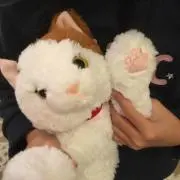 ほのネコの画像