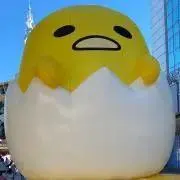 qlOuOlpの画像