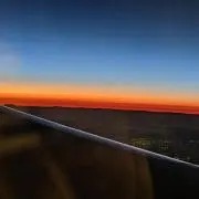 シャクの画像