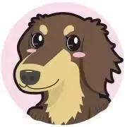 チョコタンの画像