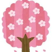 さくらの画像