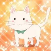 うどんの画像