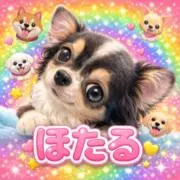 みか