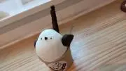 まめの画像