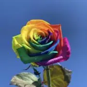 JSB★LoVEプロフ必須の画像