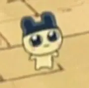 ぽぽの画像
