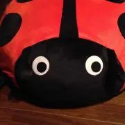 のりむう