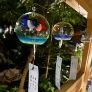 みーの画像