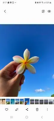 まっきぃの画像