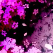 ひかるの画像
