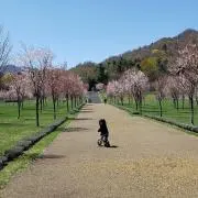 じゅんの画像