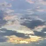 coco.即決歓迎の画像