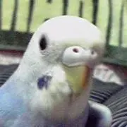 His