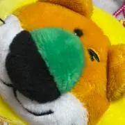 マスダの画像