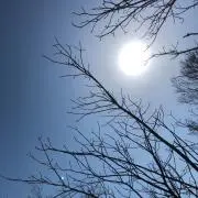 kkkkaaaの画像