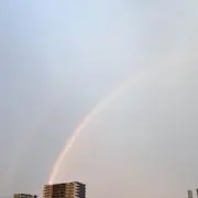 ちくわの画像
