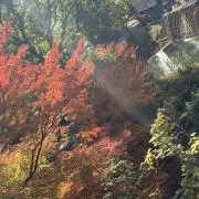 Yosukeの画像