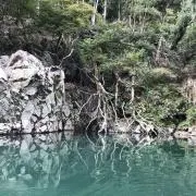 あやの画像
