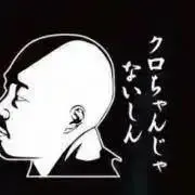 クモの画像