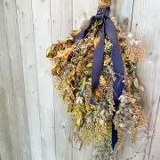 kokeの画像