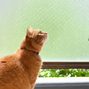 mmmの画像