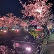 あおの画像
