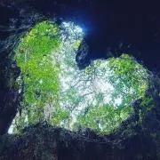 うだち✰*。の画像