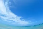 SHO☆値下げ交渉可能の画像