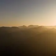 Sunnyの画像