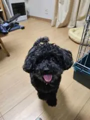 プロフ必読の画像