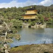 Chieの画像
