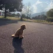 うぃるびぃの画像
