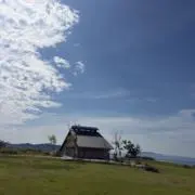 かめーくんの画像