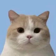 みいの画像