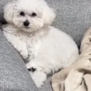 あんり