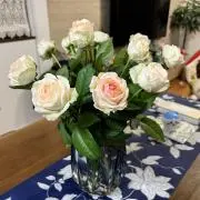 ニコニコの画像