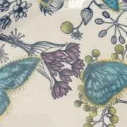 kirakira12の画像