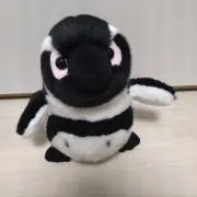 みかんの画像