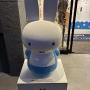 ぱんの画像