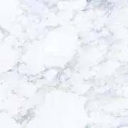 苺の画像