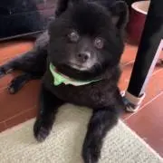 さっくんの画像