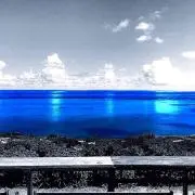 SCA.542の画像