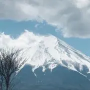 ルル
