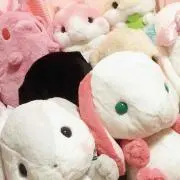 あおゐ