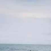 りの画像
