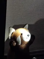 読んでプロフ読んでねプロフ読めや！の画像