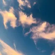 オリ姫の画像