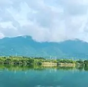 sumaの画像