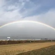 frkwの画像